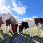 【マイページ】予約状況の確認ができるようになりました