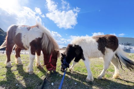 【マイページ】予約状況の確認ができるようになりました