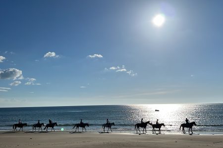 外乗ツアーの予約開始 10月～12月＆周辺観光地