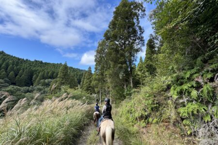 2026年SOO外乗ツアー新コース＆日程追加！