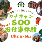 馬のお仕事体験 9～12月も開催決定!