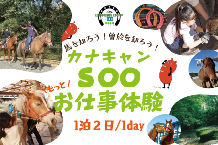 馬のお仕事体験 9~12月も開催決定!
